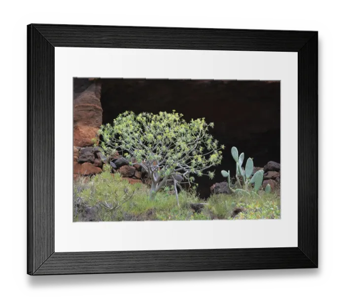 Framed Print : Landscape in the area of Las Cuevas de Aqua