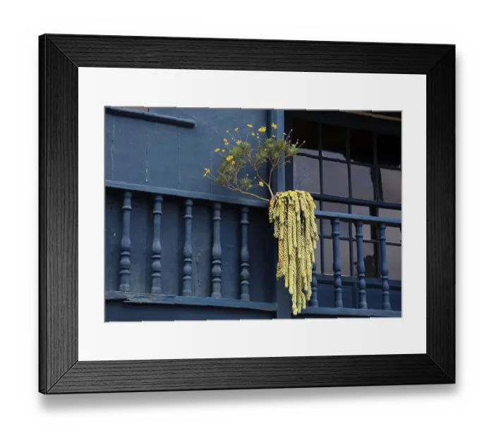Framed Print : Typical balcony houses on the shore road of the city of Santa Cruz de la Palma Framed Print : Typical balcony houses on the shore road of the city of Santa Cruz de la Palma
