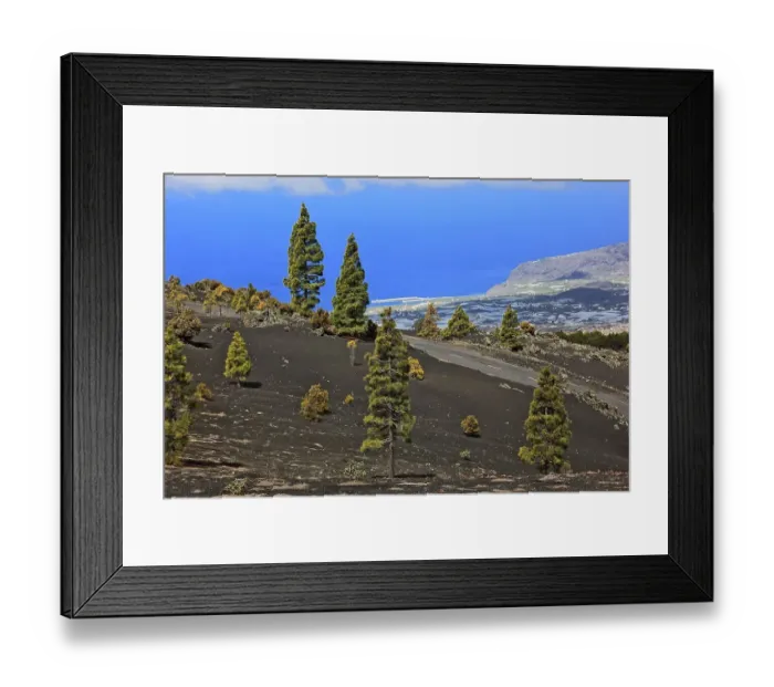 Framed Print : Landscape in the Refugio de El Pinar National Park and view of the sea Framed Print : Landscape in the Refugio de El Pinar National Park and view of the sea