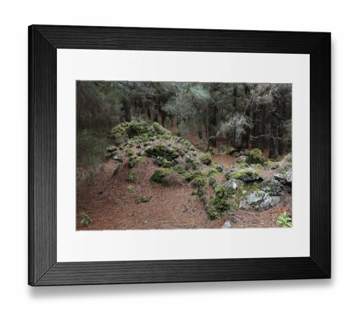 Framed Print : Landscape in the Refugio de El Pinar National Park