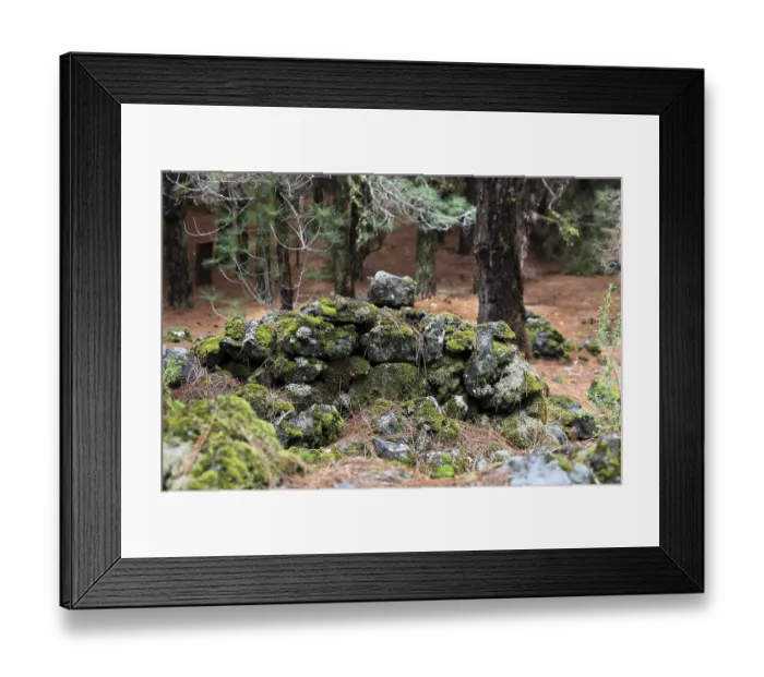 Framed Print : Landscape in the Refugio de El Pinar National Park Framed Print : Landscape in the Refugio de El Pinar National Park