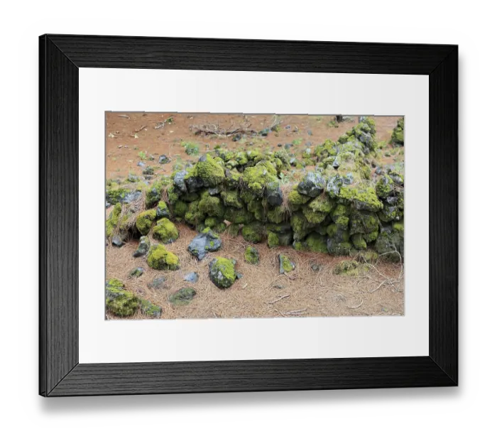 Framed Print : Landscape in the Refugio de El Pinar National Park Framed Print : Landscape in the Refugio de El Pinar National Park