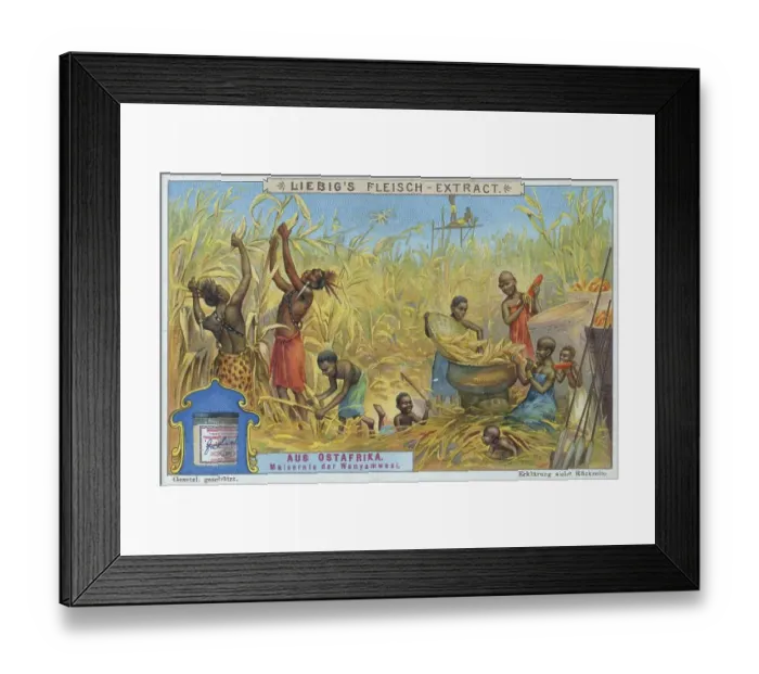 Framed Print : Picture series from East Africa