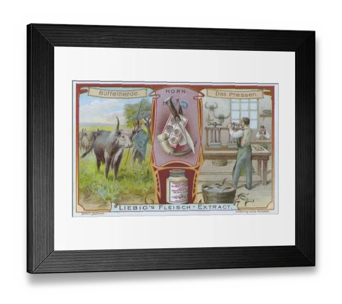 Framed Print : Picture series Materials, horn Framed Print : Picture series Materials, horn