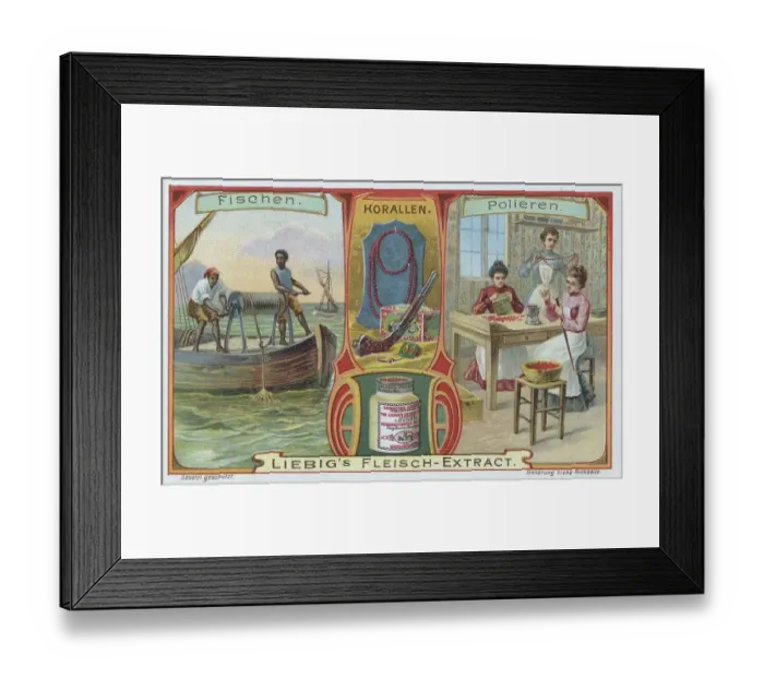 Framed Print : Picture series Materials, Corals Framed Print : Picture series Materials, Corals