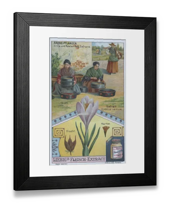 Framed Print : Picture series the preparation of medicinal plants Framed Print : Picture series the preparation of medicinal plants