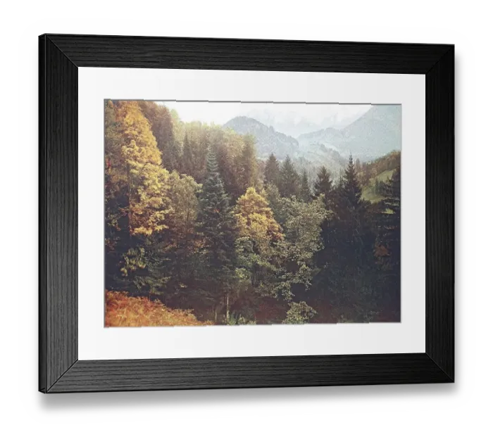 Framed Print : Historical photo around 1880 of the alpine region Tatzelwurm in Bavaria Framed Print : Historical photo around 1880 of the alpine region Tatzelwurm in Bavaria