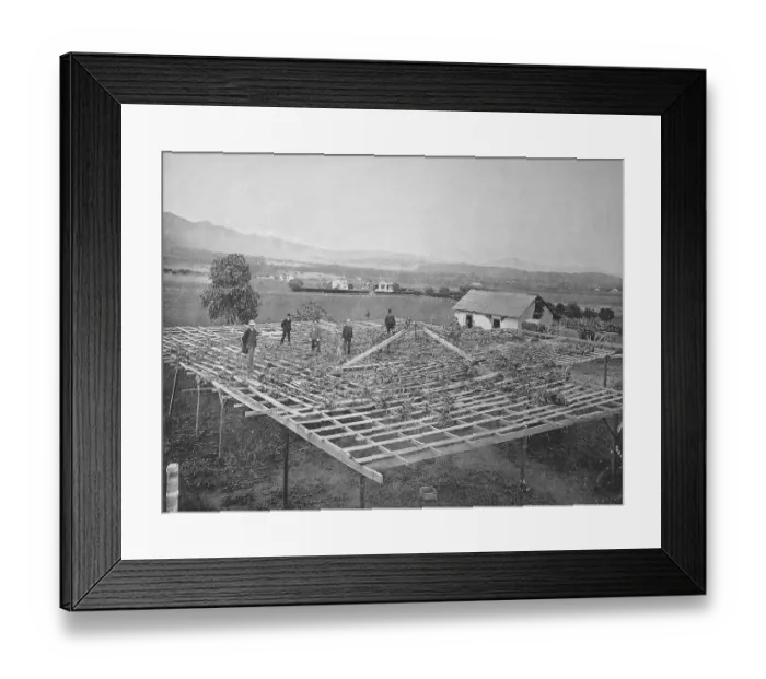 Framed Print : United States of America, California