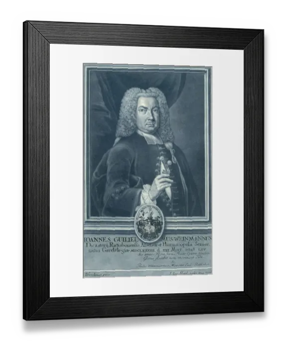 Framed Print : Johann Wilhelm Weinmann, 1683 to 1741