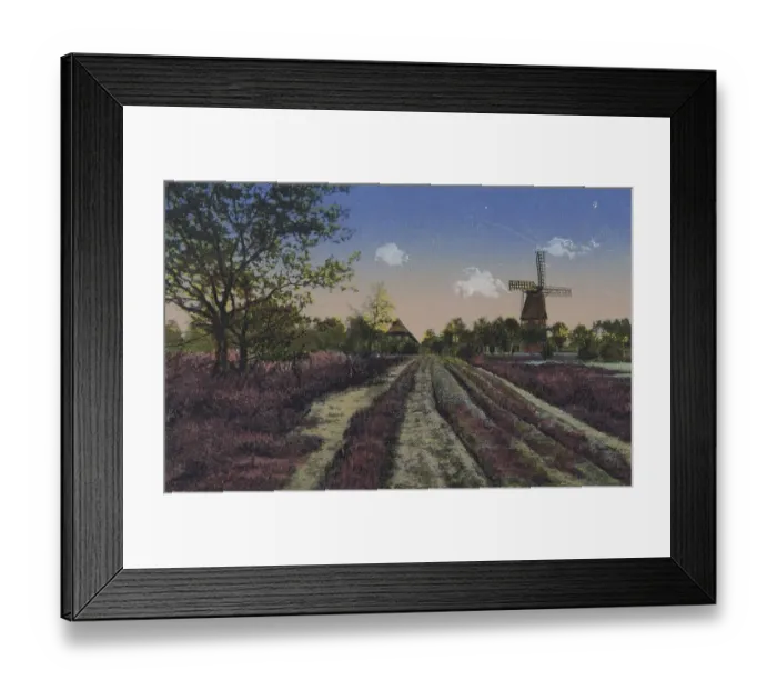 Framed Print : Landscape in the Lueneburg Heath with heather and a mill Framed Print : Landscape in the Lueneburg Heath with heather and a mill