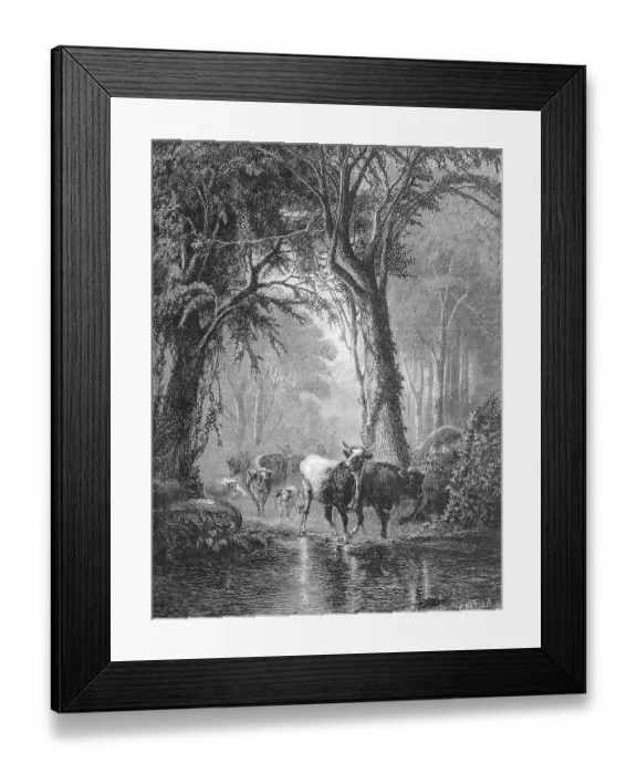Framed Print : At a ford in forest cow herd passes river Framed Print : At a ford in forest cow herd passes river
