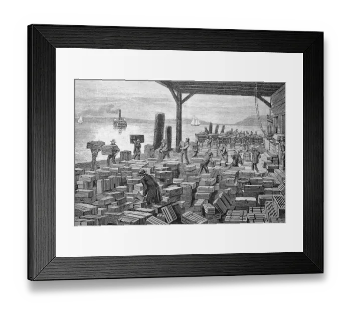 Framed Print : Shipment of grapes in America, stacking yard with crates of fresh grapes to be loaded onto a steamer