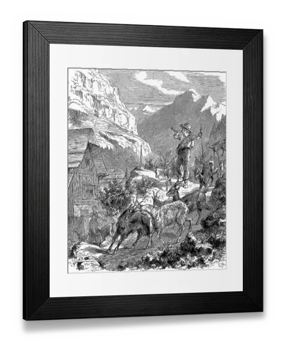 Framed Print : The young goatherd returns from the mountain pasture to the stable with his goats in the evening