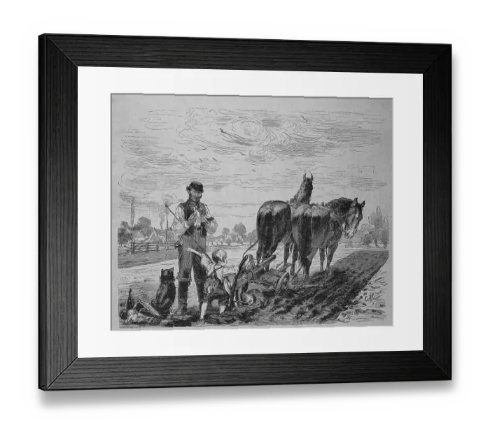 Framed Print : First attempt of the farmer's boy to plough the field with the horse and cart and the plough