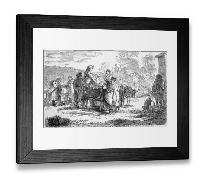 Framed Print : Pig market in Moravian Slovakia in 1880 Framed Print : Pig market in Moravian Slovakia in 1880