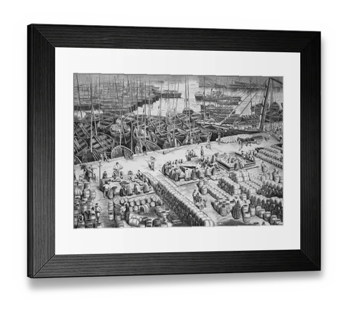 Framed Print : Processing of herrings in the harbour of Wick in Scotland in 1880 Framed Print : Processing of herrings in the harbour of Wick in Scotland in 1880
