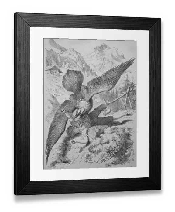 Framed Print : A vulture attacks a boy, historical illustration of animal life in the alpine world