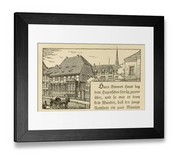 Framed Print : Kaiserhaus, historical town view