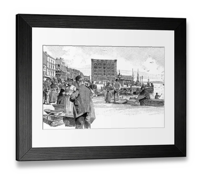 Framed Print : Fisheries, the fresh fish market Framed Print : Fisheries, the fresh fish market