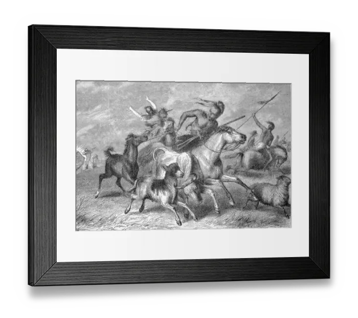 Framed Print : Indians on the prowl, robbing cattle from a farm Framed Print : Indians on the prowl, robbing cattle from a farm