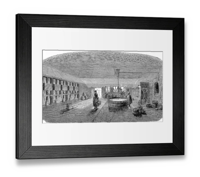 Framed Print : Model farm in Zealand in 1896, cheese cellar Framed Print : Model farm in Zealand in 1896, cheese cellar