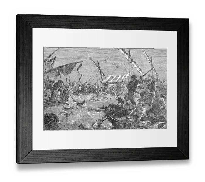 Framed Print : Tuna hunting with harpoons, tuna Framed Print : Tuna hunting with harpoons, tuna