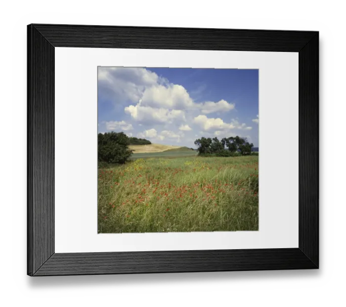 Framed Print : The visit to the landscapes on Ruegen