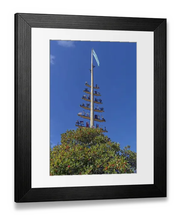 Framed Print : Maypole in Seebruck am Chiemsee Framed Print : Maypole in Seebruck am Chiemsee