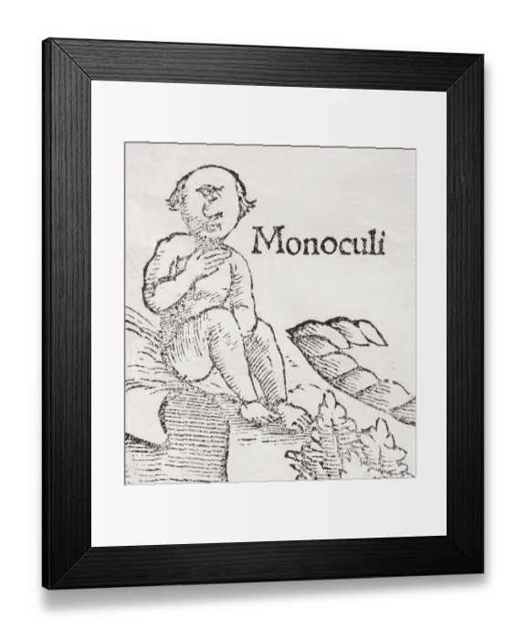 Framed Print : One-eyed Giant (Monoculi), detail Framed Print : One-eyed Giant (Monoculi), detail