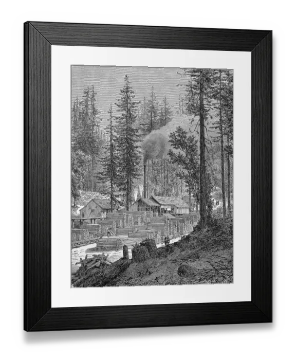 Framed Print : Sawmill in California, America, around 1890