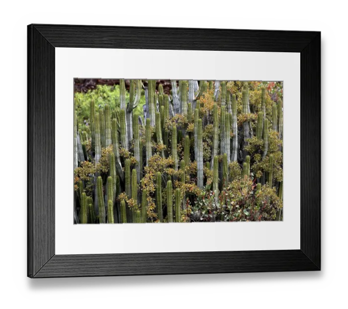 Framed Print : Landscape in the area of Las Cuevas de Aqua