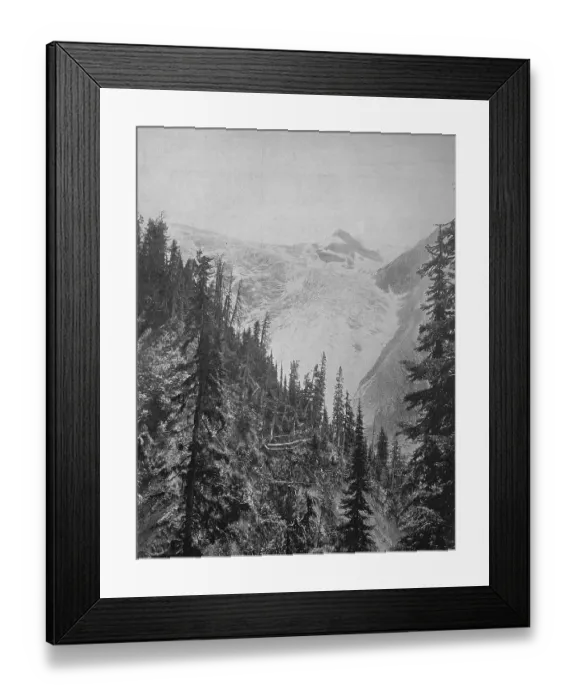 Framed Print : The Illicilliwaet Glacier, also Illecillewaet Glacier