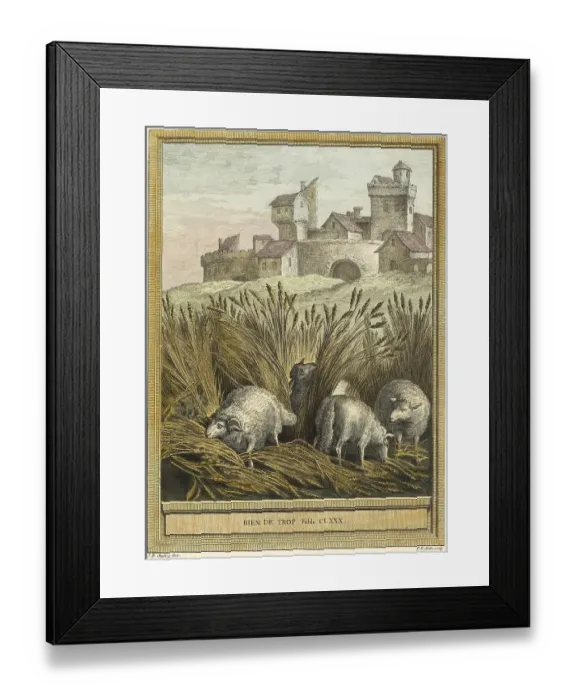 Framed Print : Nothing in excess, three sheep searching among the reeds for edible grasses Framed Print : Nothing in excess, three sheep searching among the reeds for edible grasses