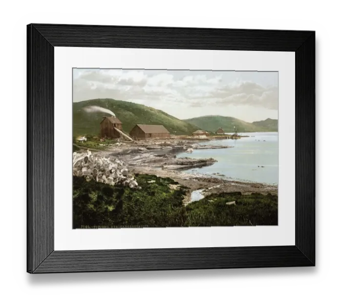 Framed Print : Hvalfanger Station, whaling station in Tufjord