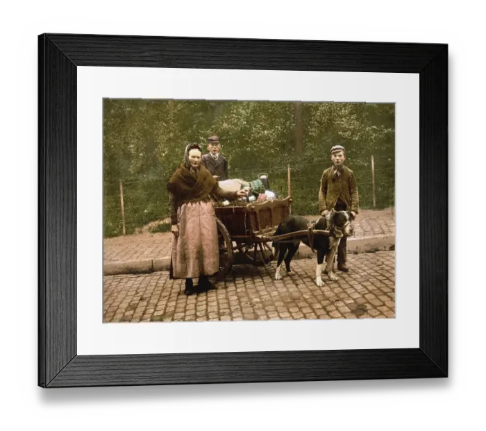 Framed Print : Milk seller, Brussels, Belgium