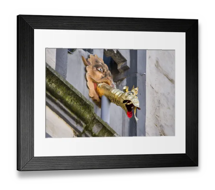 Framed Print : Dragon-headed gargoyle of the town hall
