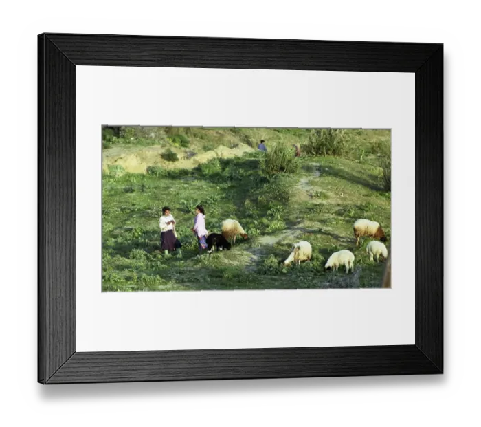Framed Print : Tunisia. Land and people in and near Monastir on 21 Framed Print : Tunisia. Land and people in and near Monastir on 21