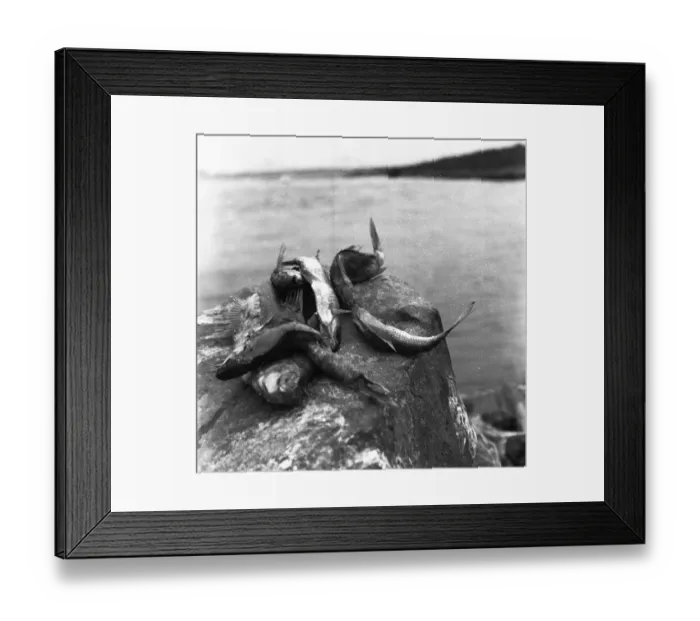 Framed Print : The poison accident on the Rhine