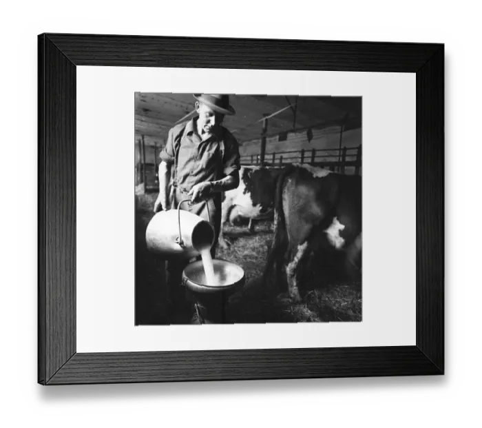 Framed Print : Farmer in Sauerland ca. 1966, Germany, Europe Framed Print : Farmer in Sauerland ca. 1966, Germany, Europe