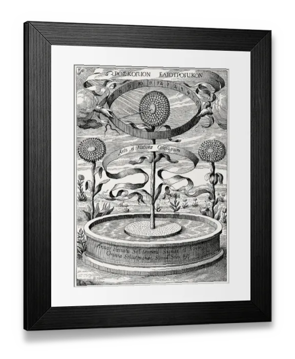 Framed Print : Heliotropic sunflower clock by Athanasius Kircher