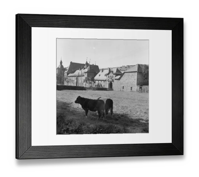Framed Print : Bridal couples and weddings in 1966 in Sauerland Framed Print : Bridal couples and weddings in 1966 in Sauerland