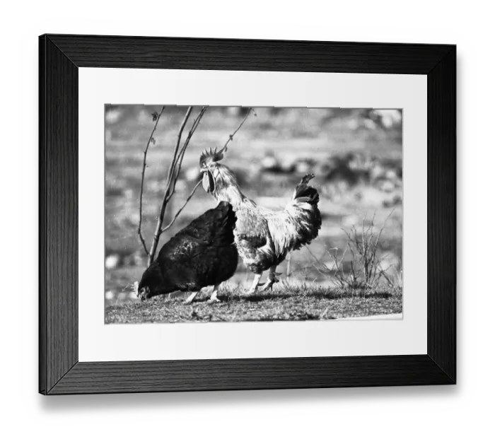 Framed Print : The pollution of the Duisburger Kupferhuette on 22