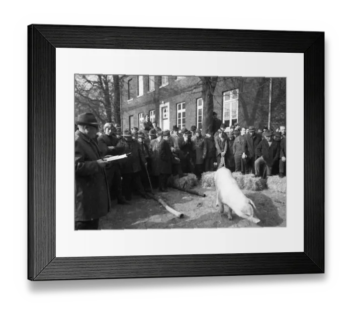Framed Print : The auction of a farm on 2. 3. 1972 in the Muensterland in Ascheberg with all inventory and livestock Framed Print : The auction of a farm on 2. 3. 1972 in the Muensterland in Ascheberg with all inventory and livestock