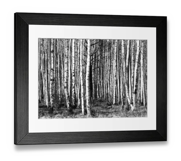 Framed Print : RUS, USSR, Irkutsk: Impressions from the USSR 1972 Siberia