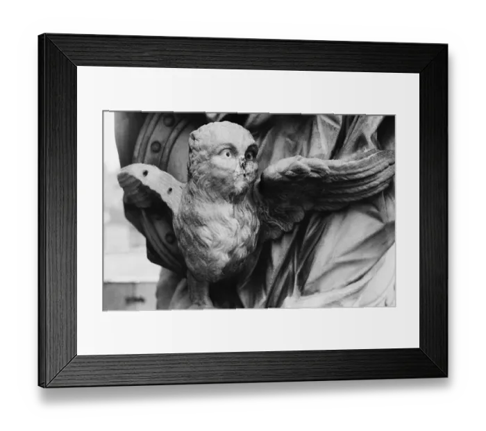 Framed Print : 03 / 09 / 1983 GDR district of Potsdam City of Potsdam