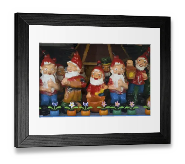 Framed Print : Garden gnomes, display window, Germany, Europe Framed Print : Garden gnomes, display window, Germany, Europe