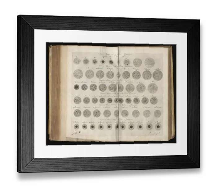 Framed Print : Johannis Hevelii Cometographia