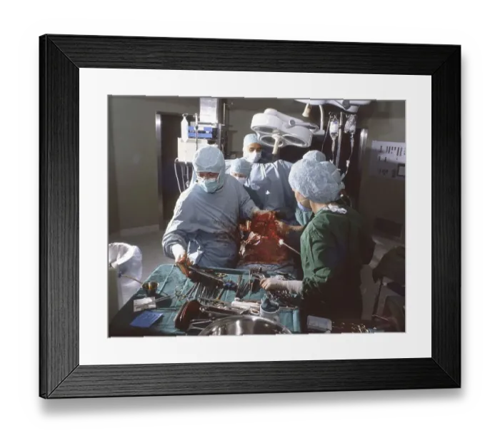 Framed Print : This intestinal surgery of a rare intestinal disease under the direction of the head physician Dr- Zerbian in a Framed Print : This intestinal surgery of a rare intestinal disease under the direction of the head physician Dr- Zerbian in a