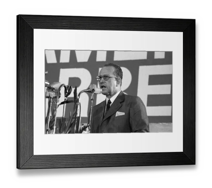 Framed Print : The 3rd Extraordinary Congress of the DGB