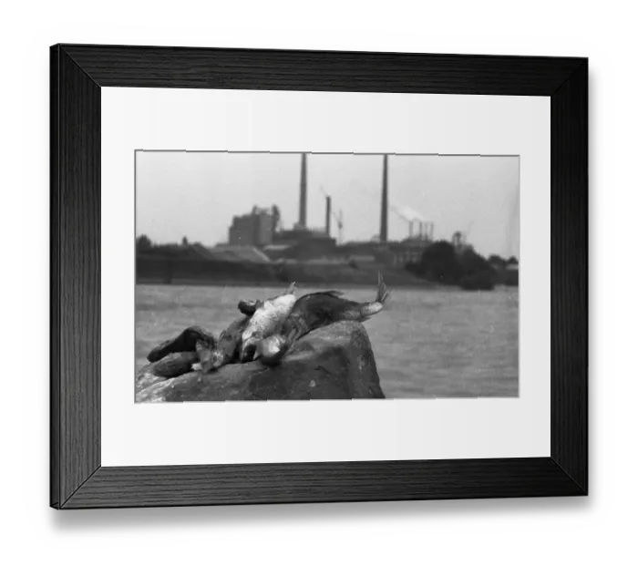 Framed Print : The poison accident on the Rhine